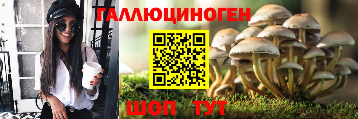 Галлюциногенные грибы Psilocybe  Псилоцибиновые грибы мухоморы  купить  цена  Вход с VPN  Михайловск 